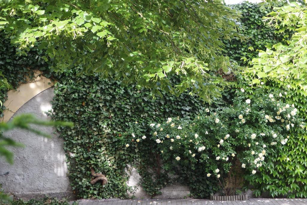 Appartamento Patio I